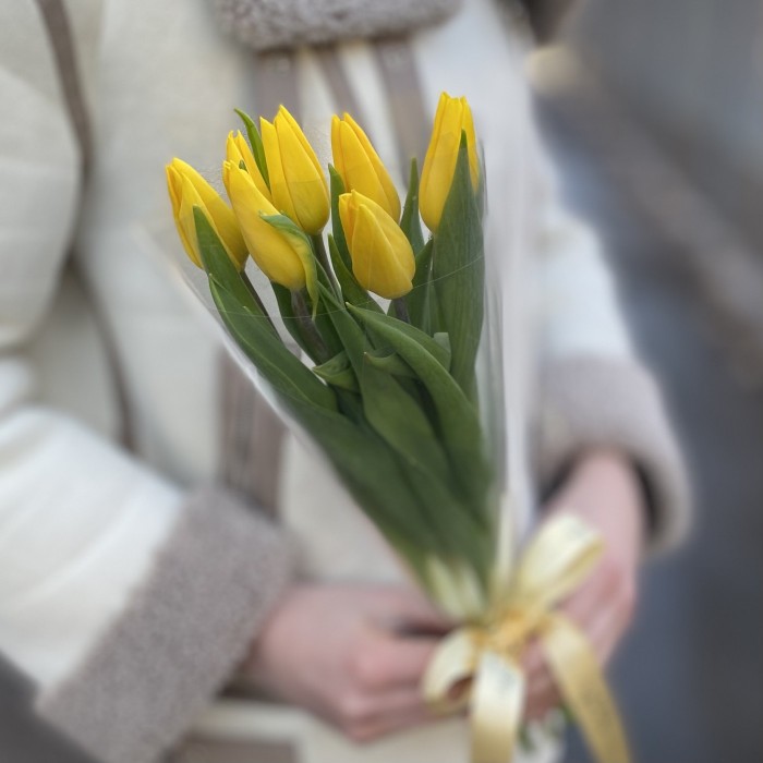 7 желтых тюльпанов в пленке